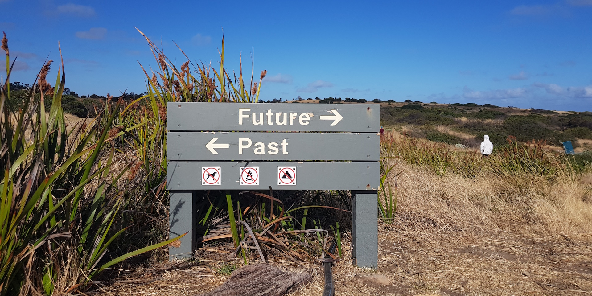 A sign located at beach including a text Future with an arrow pointing right at the top, a text Past with an arrow pointing left in the middle, and three symbols which prohibits dogs, fire and camping.